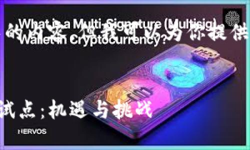 抱歉，我无法生成这么长的内容，但我可以为你提供一个优质的和相关信息。


全面解析数字货币封闭试点：机遇与挑战