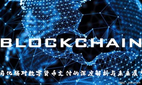 马化腾对数字货币支付的深度解析与未来展望