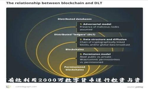 : 如何有效利用2000万数字货币进行投资与资产管理