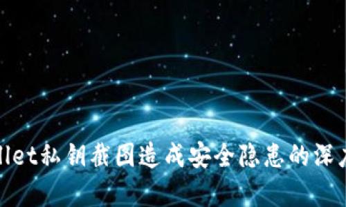 tpwallet私钥截图造成安全隐患的深度解析