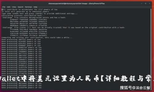 如何在TPWallet中将美元设置为人民币？详细教程与常见问题解答