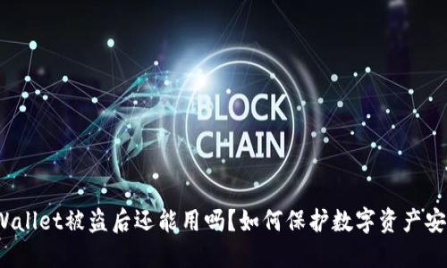 TPWallet被盗后还能用吗？如何保护数字资产安全？