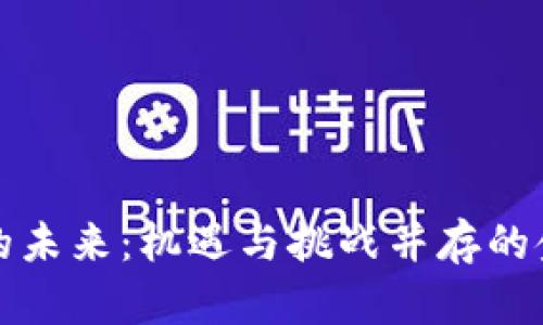 数字货币的未来：机遇与挑战并存的金融新纪元