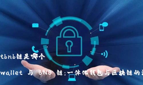 tpwalletbnb链是哪个

探索 tpwallet 与 BNB 链：一体化钱包与区块链的深度解析
