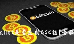 TPWallet是否支持BSC链？全面