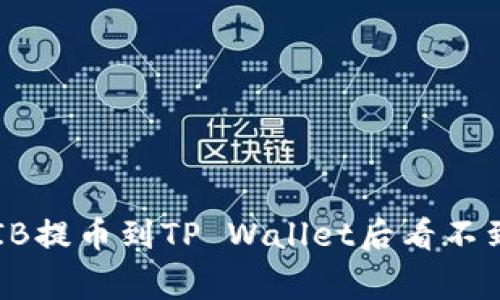 如何解决SHIB提币到TP Wallet后看不到的常见问题