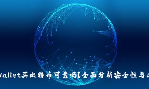 TPWallet买比特币可靠吗？全面分析安全性与风险
