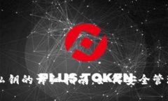TPWallet导入私钥的详细指南：如何安全管理你的加