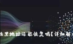 TPWallet被拉黑地址还能恢复吗？详细解析与解决方