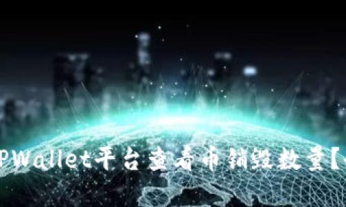 如何在TPWallet平台查看币销毁数量？全面指南