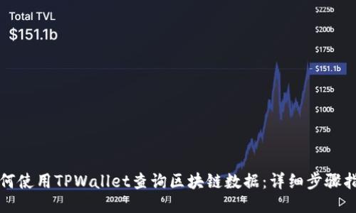 如何使用TPWallet查询区块链数据：详细步骤指南