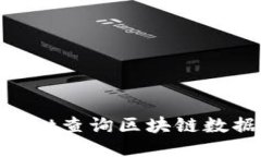 如何使用TPWallet查询区块链数据：详细步骤指南