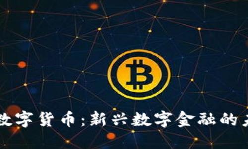 Sunbit数字货币：新兴数字金融的未来趋势