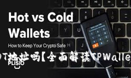 TPWallet支持USDT地址吗？全面解读TPWallet的USDT支持情况