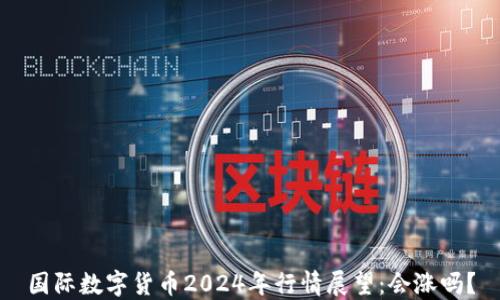 
国际数字货币2024年行情展望：会涨吗？