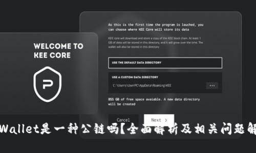 TPWallet是一种公链吗？全面解析及相关问题解答