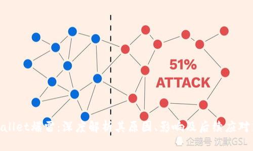 tpwallet爆雷：深度解析其原因、影响及后续应对策略