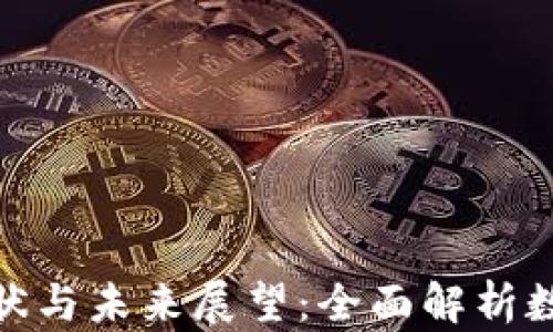 
央行数字货币推进现状与未来展望：全面解析数字货币的影响与机遇