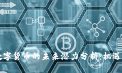 中国数字货币的未来潜力