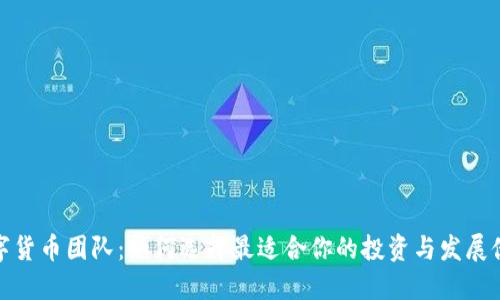数字货币团队：如何选择最适合你的投资与发展伙伴