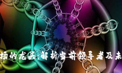 数字货币市场的龙头：解析当前领导者及未来发展趋势