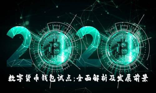 数字货币钱包试点：全面解析及发展前景