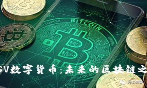 BSV数字货币：未来的区块链之星