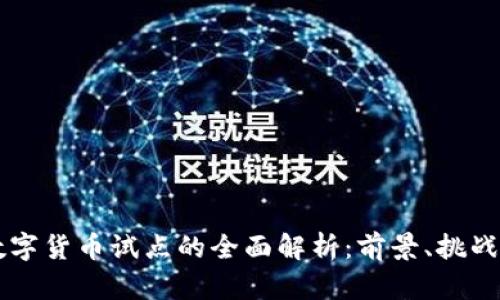 中体产业数字货币试点的全面解析：前景、挑战与实际应用