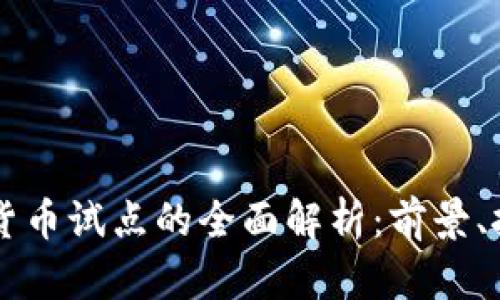 中体产业数字货币试点的全面解析：前景、挑战与实际应用